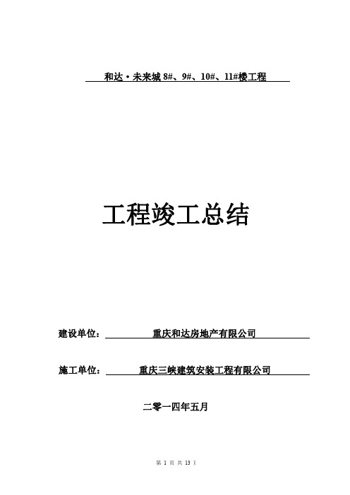 工程竣工验收总结报告(2009)