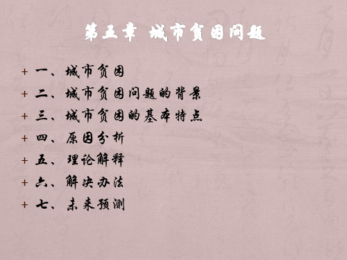 第五章城市贫困问题..