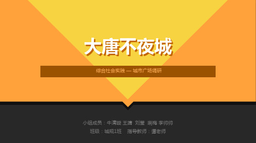 大唐不夜城广场调研