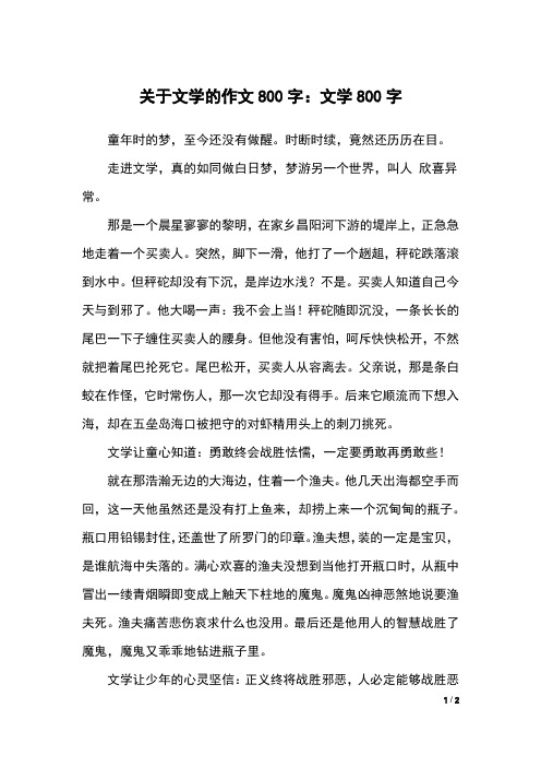 关于文学的作文800字：文学800字