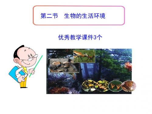 生物的生活环境课件汇总(优秀教学课件3个)