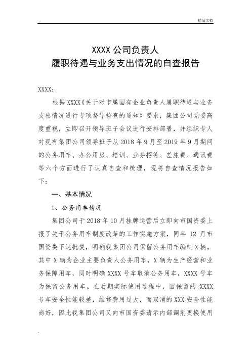 企业负责人履职待遇、业务支出自查报告