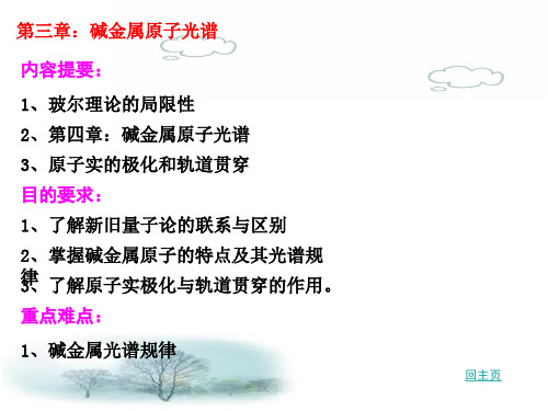 第三章：碱金属原子光谱