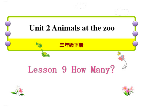 《How many》Animals at the zoo PPT课件(完美版)