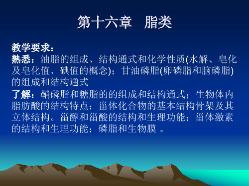 第十六章  脂类汇总