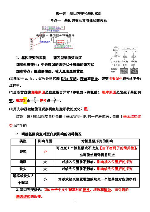 高三生物一轮复习讲义第一讲基因突变和基因重组 