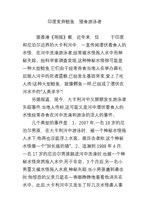印度变异鲶鱼 猎食游泳者