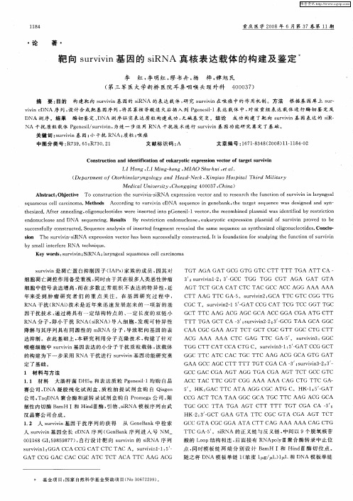 靶向survivin基因的siRNA真核表达载体的构建及鉴定