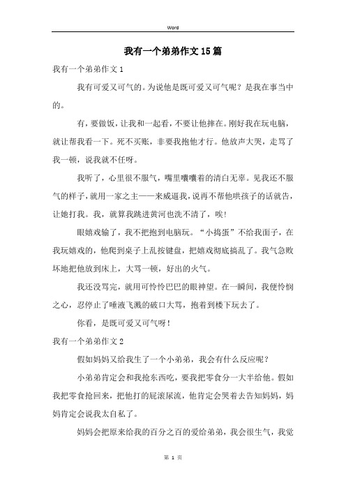 我有一个弟弟作文15篇