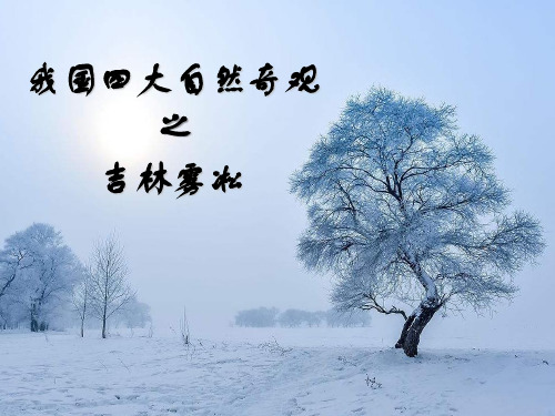 我国四大自然奇观之吉林雾凇