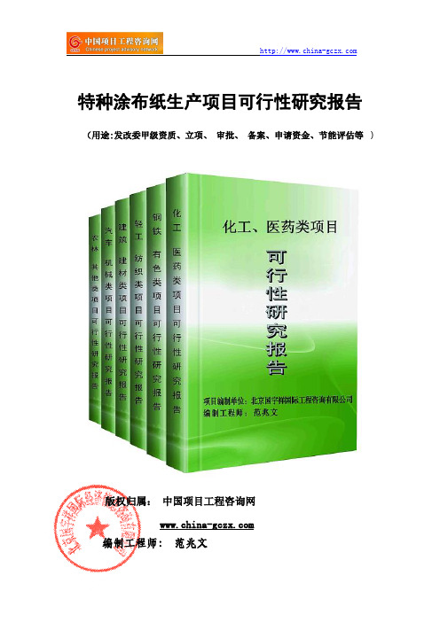 特种涂布纸生产项目可行性研究报告(案例模板)