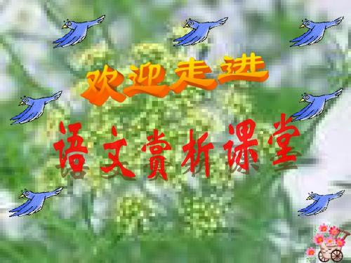 新人教版八年级语文下册导学课件第17课《端午的鸭蛋》教学课件(32张)