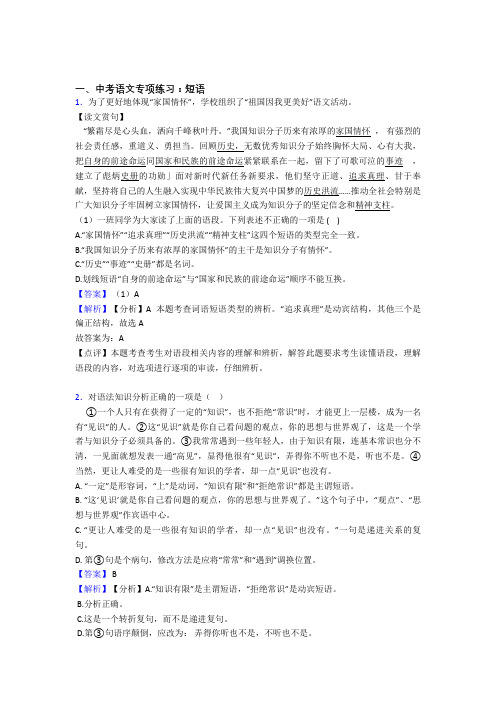 中考 语文 短语及答案(Word版)
