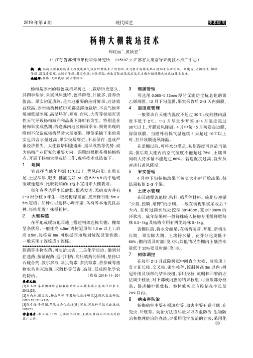 杨梅大棚栽培技术