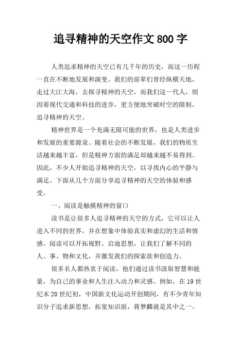 追寻精神的天空作文800字
