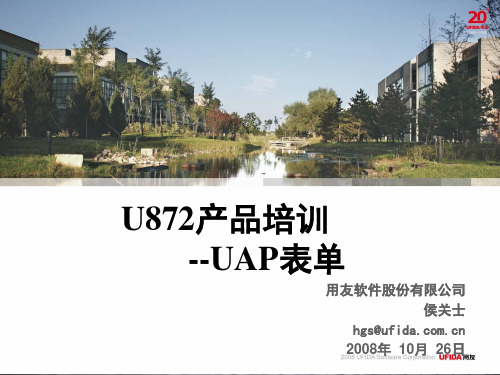 用友U8UAP二次开发