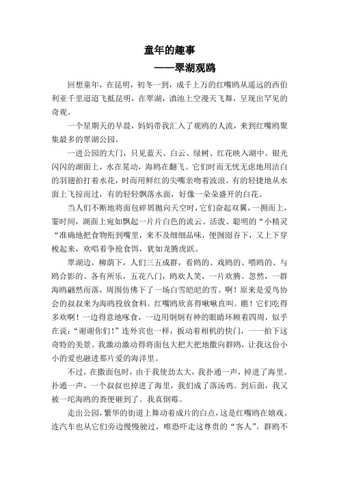 童年的趣事——翠湖观鸥