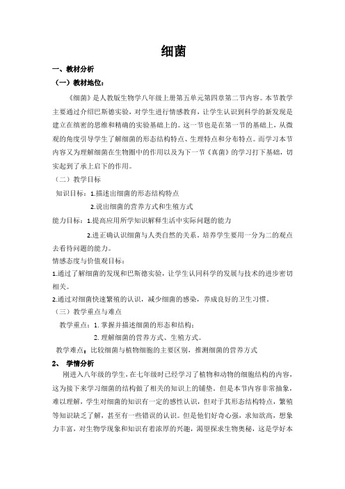 细菌说课稿