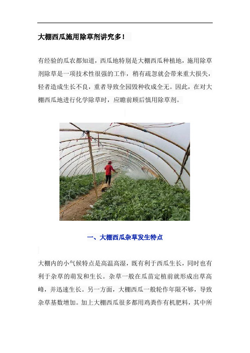 大棚西瓜施用除草剂讲究多