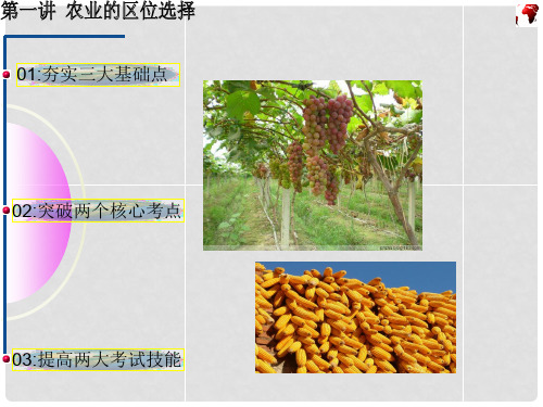 高三地理一轮复习 第一讲  农业的区位选择全程揭秘课