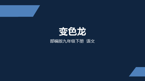 部编版 初中语文 九年级 下册 变色龙 第一课时 PPT课件