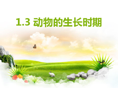 《动物的生长时期》PPT课件设计