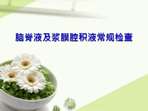 脑脊液浆膜腔积液