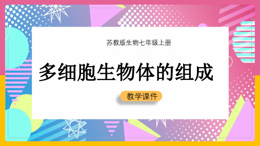 初中生物苏教版七年级上册《4.2多细胞生物体的组成》教学课件(完美版)
