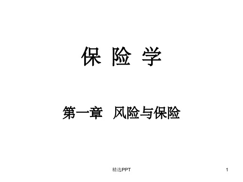 《风险与保险》PPT课件 (2)