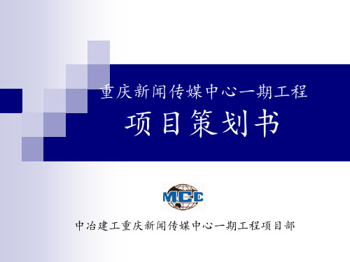 项目策划书
