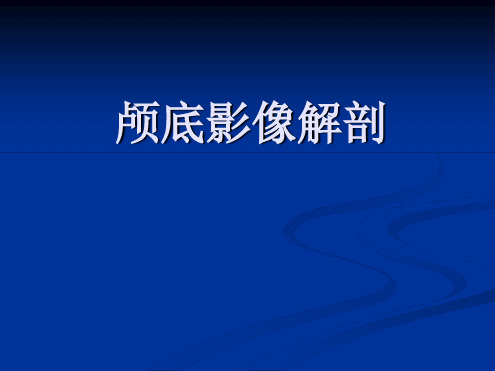 颅底影像解剖ppt课件