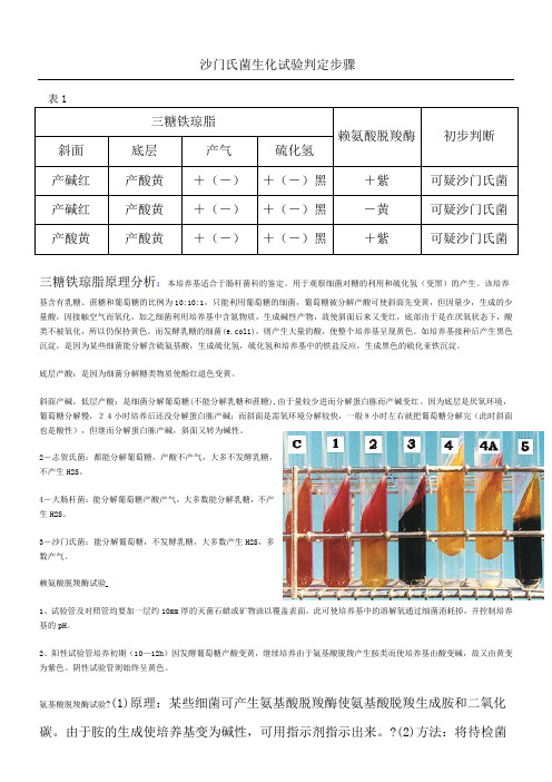 沙门氏菌生化鉴定