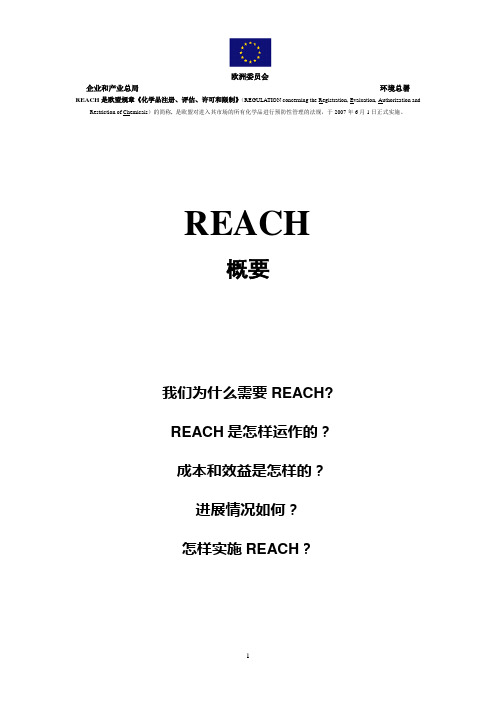 REACH概要