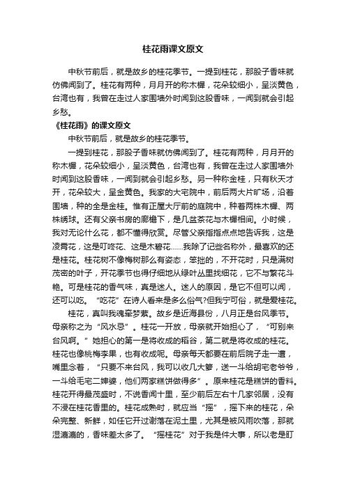 桂花雨课文原文