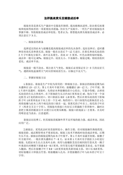 怎样提高黄瓜苗嫁接成活率