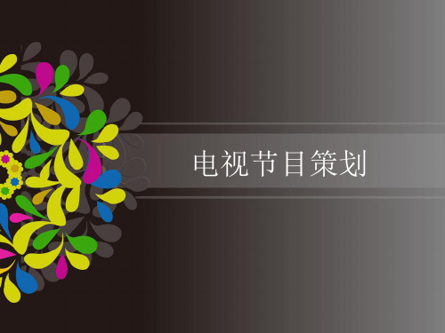 电视节目策划案例