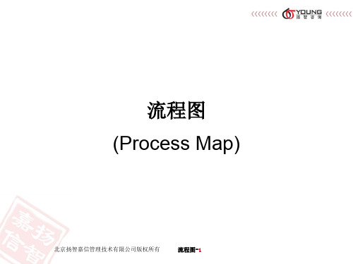 ProcessMapppt课件