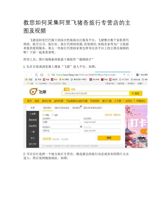 教您如何采集阿里飞猪各旅行专营店的主图及视频