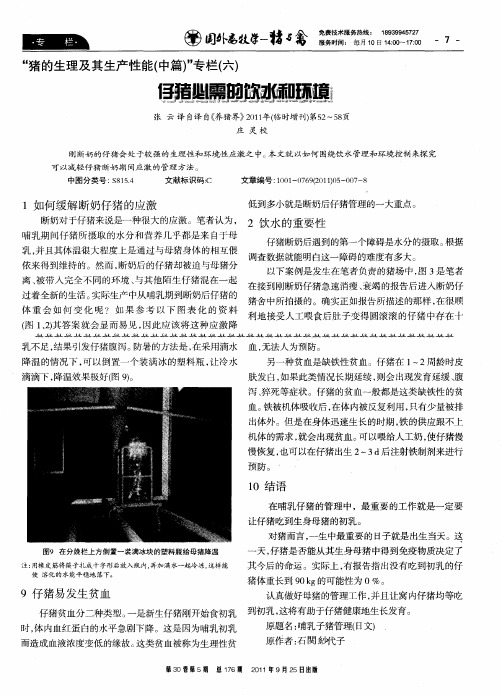 仔猪必需的饮水和环境