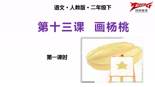 小学语文人教版二年级下精品课件第十三课  画杨桃 第一课时
