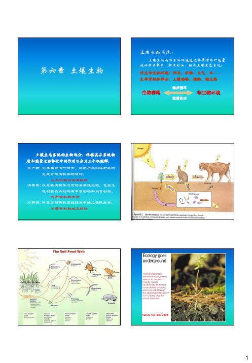 土壤生物及其功能