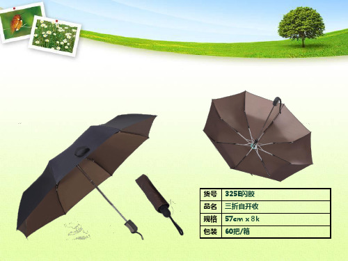 雨伞资料