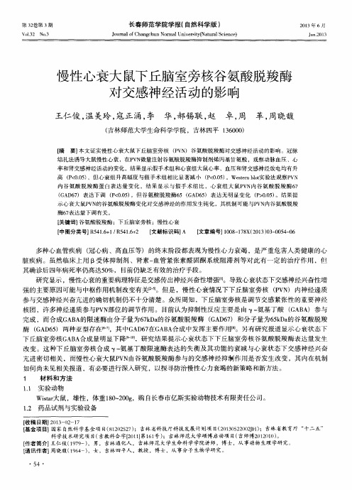 慢性心衰大鼠下丘脑室旁核谷氨酸脱羧酶对交感神经活动的影响