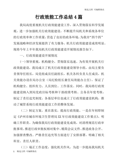 「精选」行政效能工作总结4篇-精选文档
