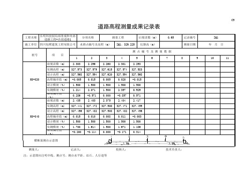 K0+020 K0+040道路高程测量成果记录(自动计算)