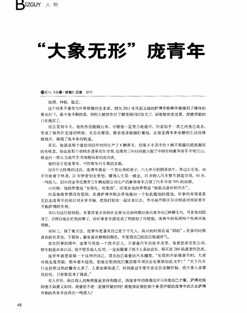 “大象无形”庞青年