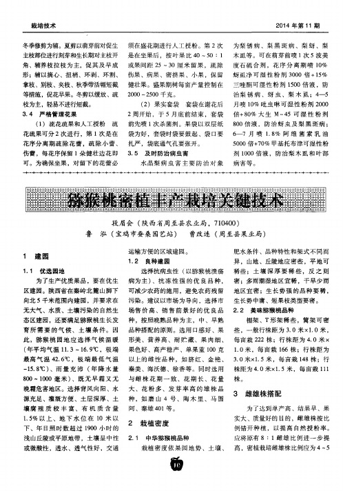 猕猴桃密植丰产栽培关键技术