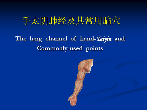 手三阴、三阳、足三阴经