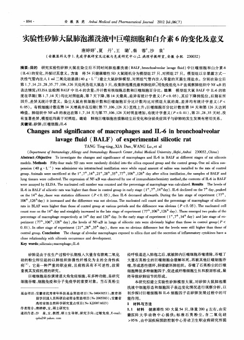 实验性矽肺大鼠肺泡灌洗液中巨噬细胞和白介素6的变化及意义