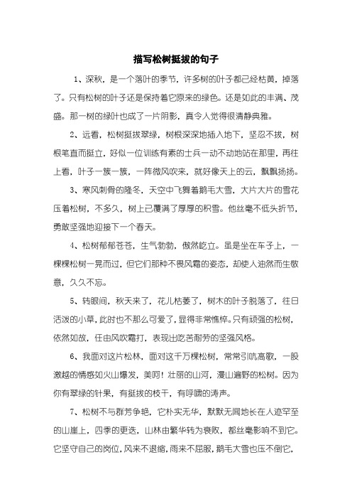 描写松树挺拔的句子